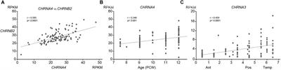 Selective Expression of Nicotinic Receptor Sub-unit mRNA in Early Human Fetal Forebrain